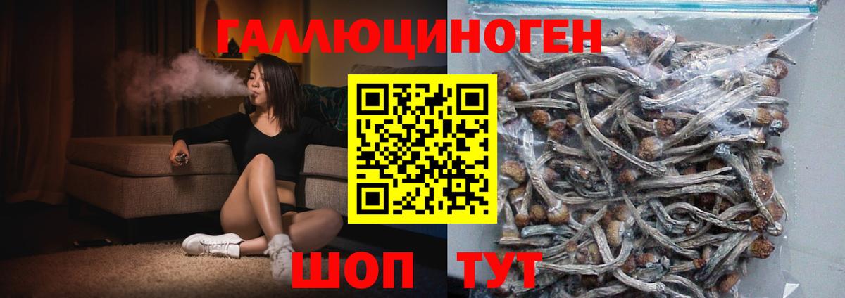 Псилоцибиновые грибы GOLDEN TEACHER  Вход с VPN  Кувандык 